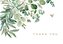 Eucalyptus Thank You Note Cards (14 Cards, 15 Self-Sealing Envelopes)