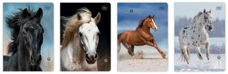 Zeszyt A5/16K 3kol linia UV Wild Horses (20szt)
