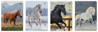 Zeszyt A5/32K 3kol linia 70g UV Wild Horses(10szt)
