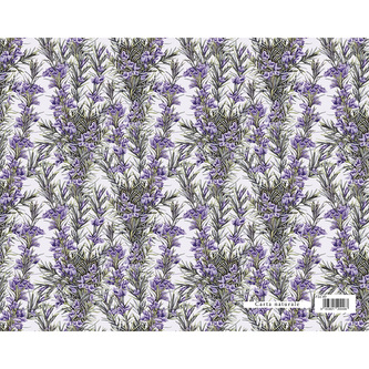 Dárkový balicí papír FLORENTIA 70x100 cm - rozmarýn