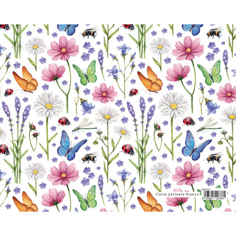 Dárkový balicí papír GARDEN 70x100 cm - luční květiny a hmyz