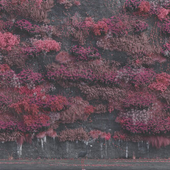 Sleep Token:  Even In Arcadia