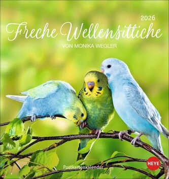 Freche Wellensittiche Postkartenkalender 2026