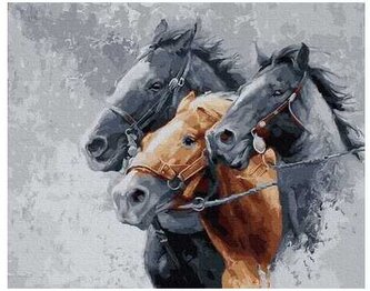 Numeromalowanie 40x50cm Trzy Gracje BR4050797 (bez ramy), iPicasso