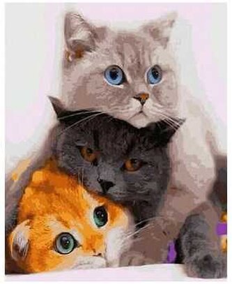 Numeromalowanie 40x50cm Kotki - psotki PC40501000, iPicasso
