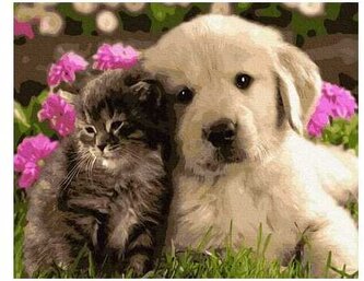 Numeromalowanie 40x50cm Urocze zwierzaki BR4050339 (bez ramy), iPicasso