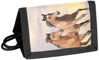 Portfel Konie PP25HA-002, Paso