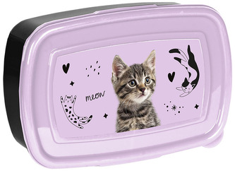 Śniadaniówka Kot PP25CE-3022, Paso