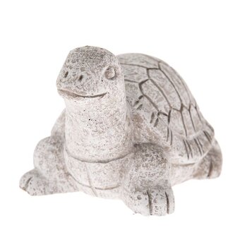 Betonová želva, 0/36