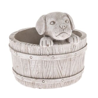 Betonový květináč - pejsek, 0/8