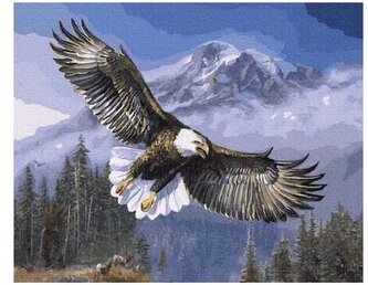 Numeromalowanie 40x50cm Duch wolności PC4050325, iPicasso