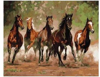 Numeromalowanie 40x50cm Konny wyścig PC4050172, iPicasso