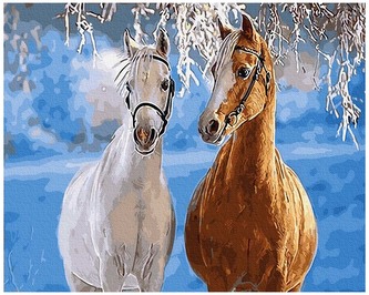 Numermoalowanie Classic 40x50 Na zawsze razem, iPicasso