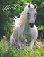 Pferde Classics Posterkalender 2026