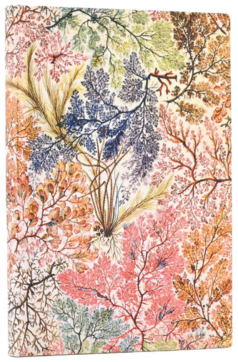 Notes Flexi William Kilburn Anemone Mini gładki, Paperblanks