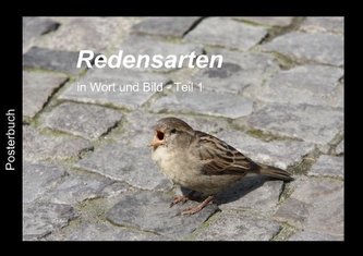 Redensarten in Wort und Bild - Teil 1 (Tischaufsteller DIN A5 quer)
