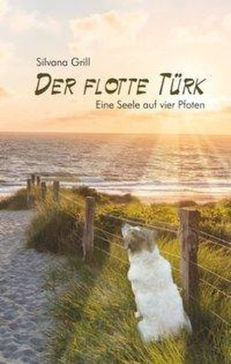 Der flotte Türk