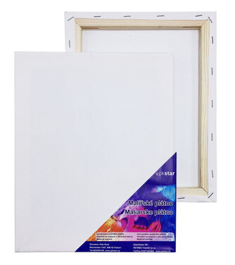 Plátno malířské 40 x 60 cm