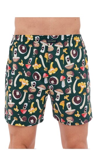 Pánské trenky Cornette Classic vícebarevné (001/165) XL