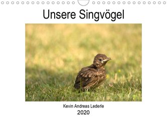 Unsere Singvögel (Wandkalender 2020 DIN A4 quer)