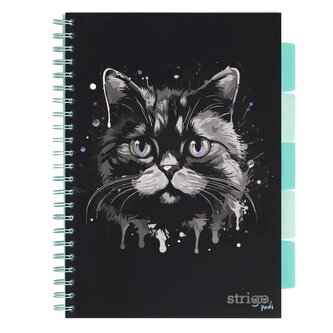 Blok A4/100l 80g PANDA Kočka s rozřaďovačem