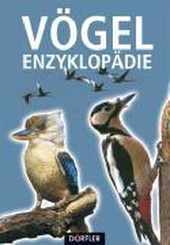 Vögel-Enzyklopädie