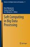Soft Computing in Big Data Processing