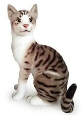 Kot siedzący białoszary 30cm