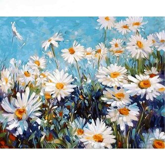Malowanie po numerach Kwiaty stokrotki 40x50cm 1007689