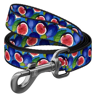 WAUDOG vodítko nylon Fíky (S/122cm/1,5cm)