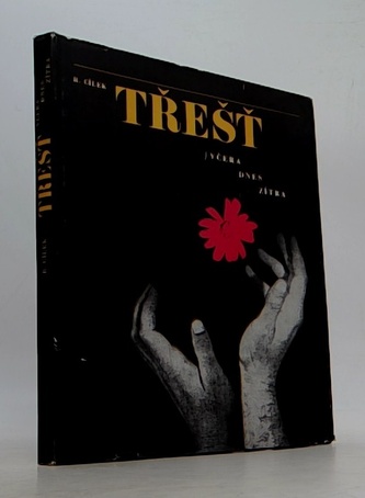 Třešť včera dnes zítra