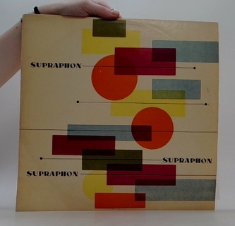 Zápisník zmizelého - LP