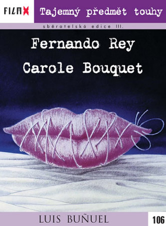 Tajemný předmět touhy - DVD