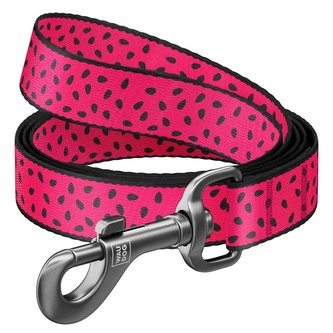 WAUDOG vodítko nylon Meloun (S/122cm/1,5cm)