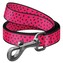 WAUDOG vodítko nylon Meloun (S/122cm/1,5cm)