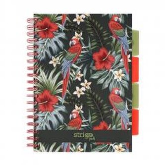 Kołozeszyt Pads B5/100K kratka Tropiki Papuga