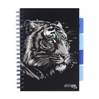 Kołozeszyt Pads B5/100K kratka Tygrys