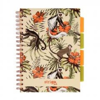 Kołozeszyt Pads B5/100K kratka Tropiki Małpki