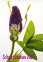 Schnittblumen 2021 (Wandkalender 2021 DIN A4 hoch)