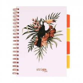 Kołozeszyt Pads B5/100K kratka Tropiki Pelikan