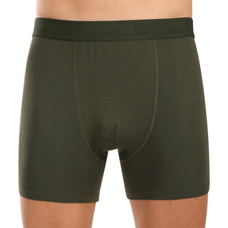 Pánské boxerky Gino zelené (74160-DCZ) M