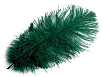 Pštrosí peří délka cca 20-25 cm - 2 ks - 44 zelená tmavá