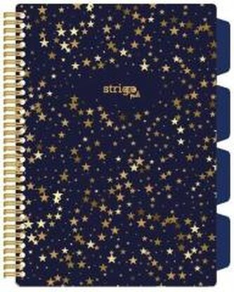 Kołozeszyt Pads B5/100K kratka Gwiazdy