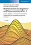Mathematik in den Ingenieur- und Naturwissenschaften 1