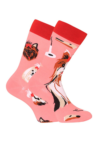 Veselé ponožky Dedoles Yorkšírský teriér (GMRS215) L