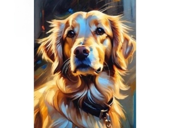 Diamantové malování 30x40cm zlatý retrývr