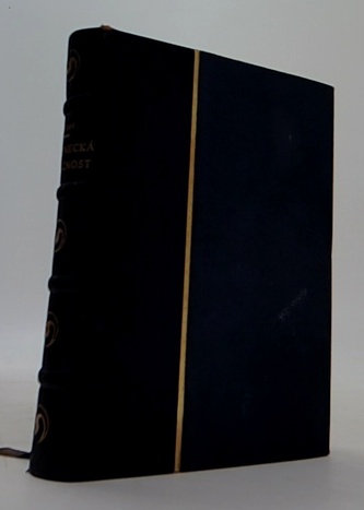 Mládenecká domácnost