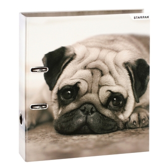 Segregator A4/7 Psy STARPAK 480718