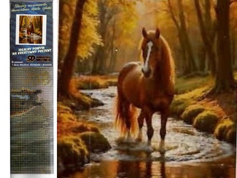 Diamantové malování 30x40cm kůň v potoce