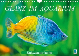 Glanz im Aquarium: Süßwasserfische (Wandkalender 2021 DIN A4 quer)